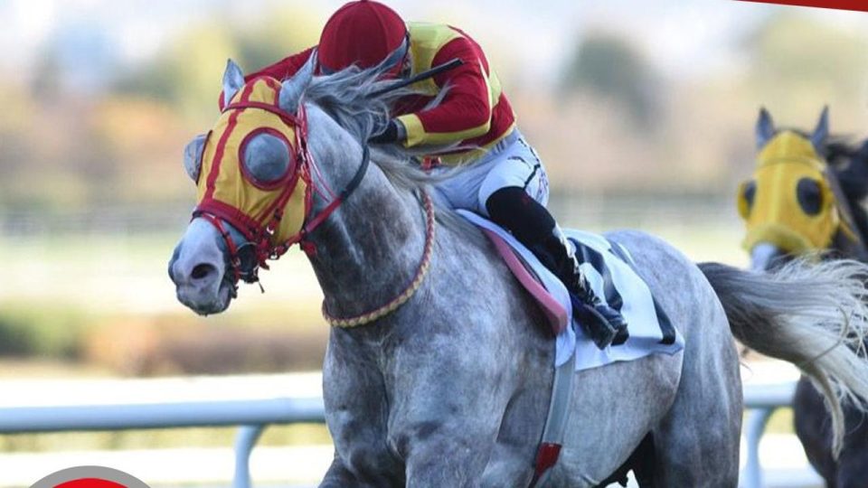 Cumhuriyet Koşusu’nu “Kıyıcı” kazandı