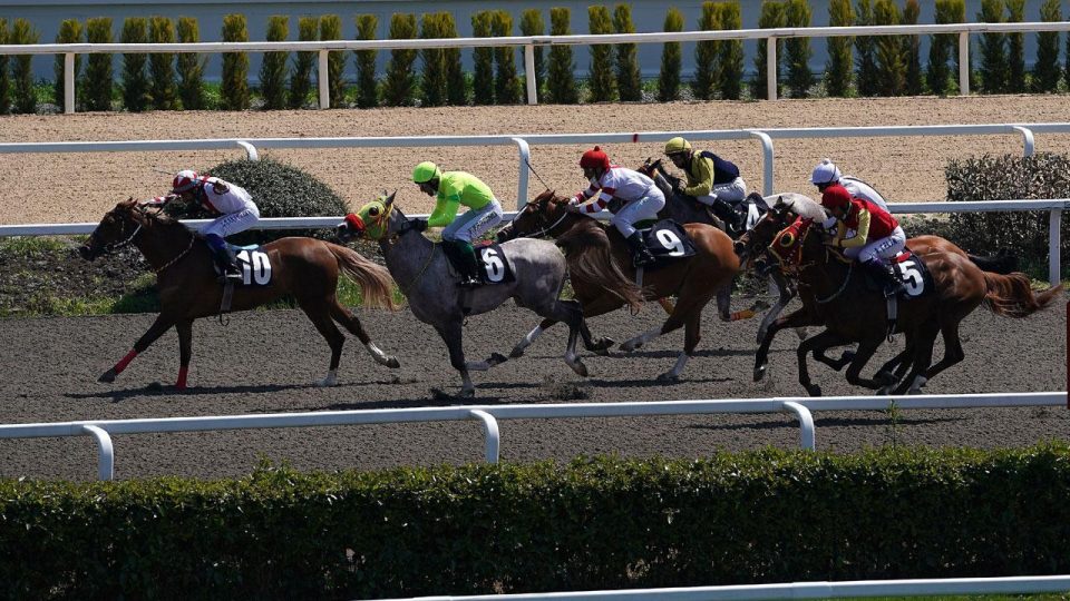 Engel atlama at yarışlarında Atatürk, İnönü ve TSYD kupaları sahiplerini buldu